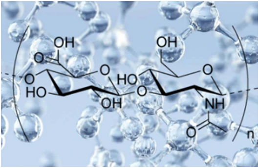 The Introduction of Hyaluronic Acid The Introduction of Hyaluronic Acid